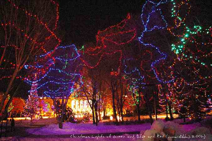../Images/100 Christmas Lights of Green and Blue and Red.jpg